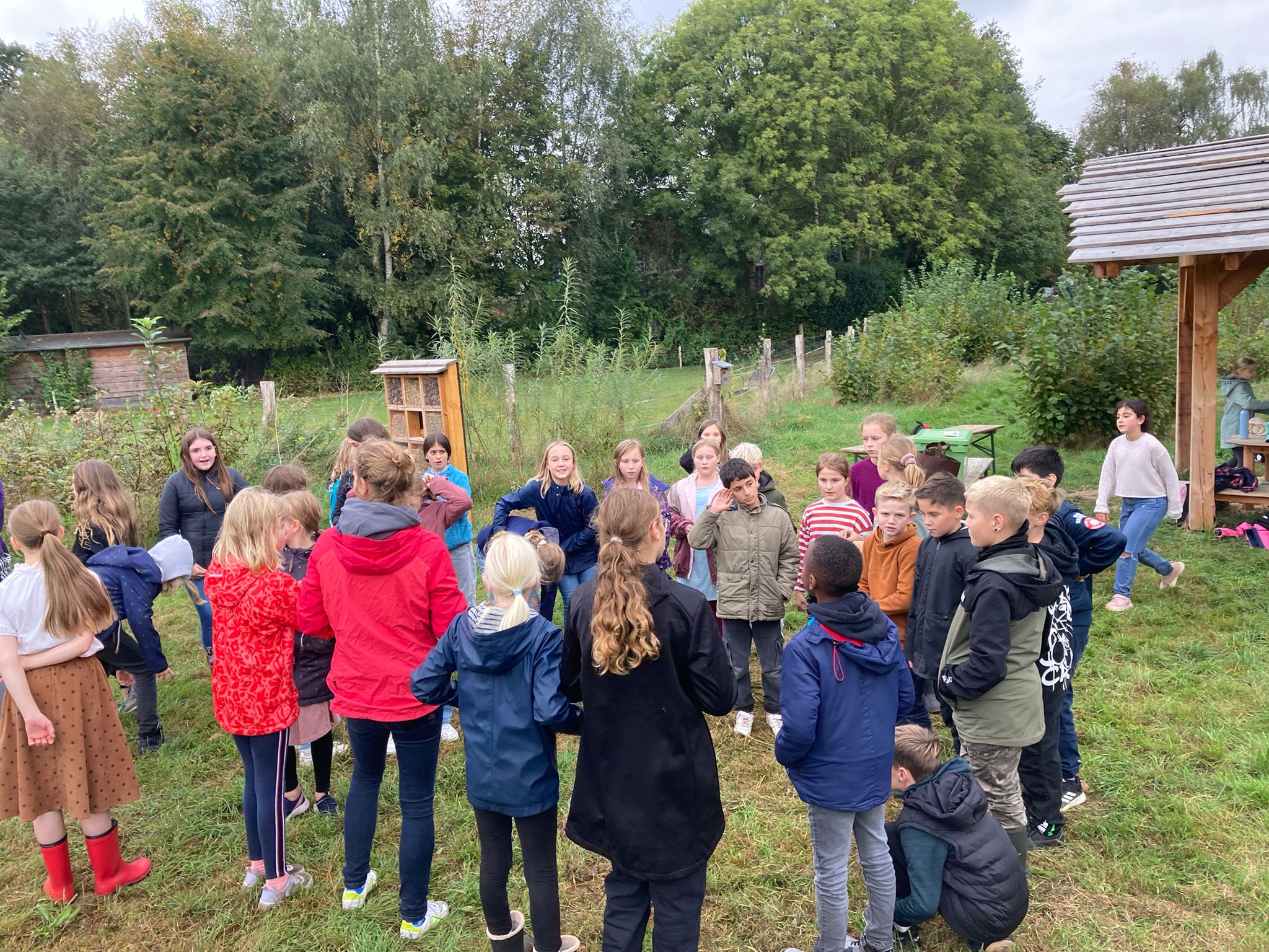 Wilhelm-Staehle-Schule Neuenhaus: Schulhundprojekt, Schulhund Maya